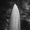 Hatsukokoro Hayabusa SG2 Nóż Szefa kuchni 24 cm