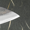 Hatsukokoro Kokugei Aogami#1/Iron Nóż Szefa kuchni 24 cm