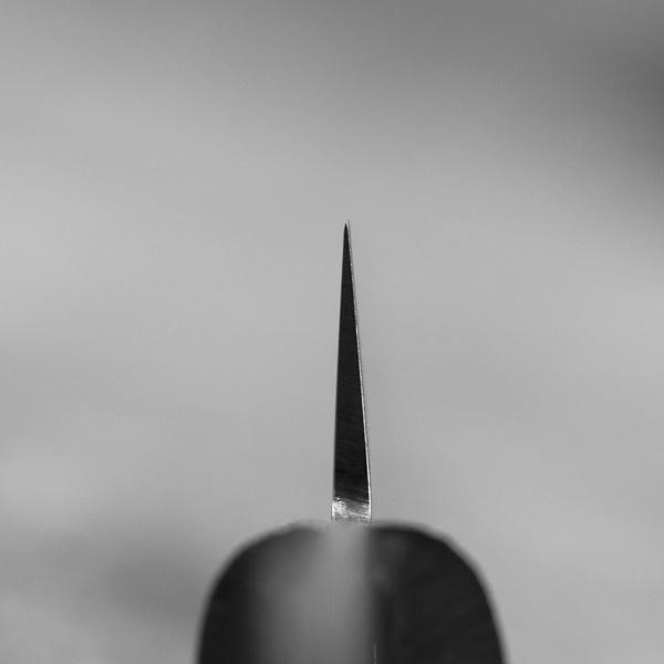 Tsunehisa VG-10 Blank Nóż uniwersalny 13,5 cm