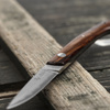 Hattori Medaka 2 Cowry-X Damascus Cocobolo Outdoor 5,7 cm