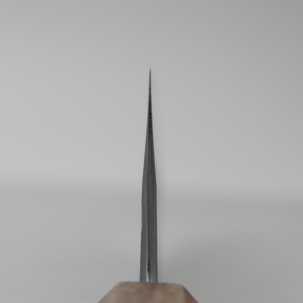Motokyuuichi Aogami#2/SS Nóż Szefa kuchni 21 cm
