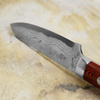 Ryo Nomura Shirogami#2 Wharncliffe Red/Black Medium