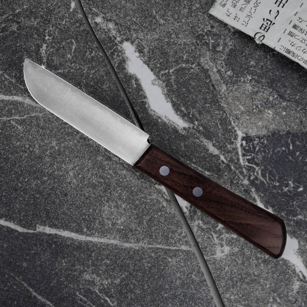 Seki Kanetsugu Miyabi Issin AUS8 Nóż do obierania 9 cm