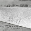 Hatsukokoro Hayabusa Ginga ATS-34 Damascus Nóż Szefa kuchni 21 cm