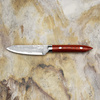 Ryo Nomura Shirogami#2 Wharncliffe Red/Black Medium