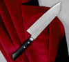 Kunio Masutani VG-10 Nóż Santoku 17 cm
