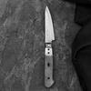 Tsunehisa VG-10 Blank Nóż do obierania 8 cm