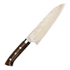 Takeshi Saji Sami IW Aogami#2 Color Nóż Santoku 18 cm