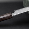 Hatsukokoro Ryusui Aogami#2/Iron Nóż Szefa kuchni 20 cm