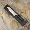 Takeshi Saji Art Fuji on Lake R-2 Nóż Santoku 18 cm + Saya