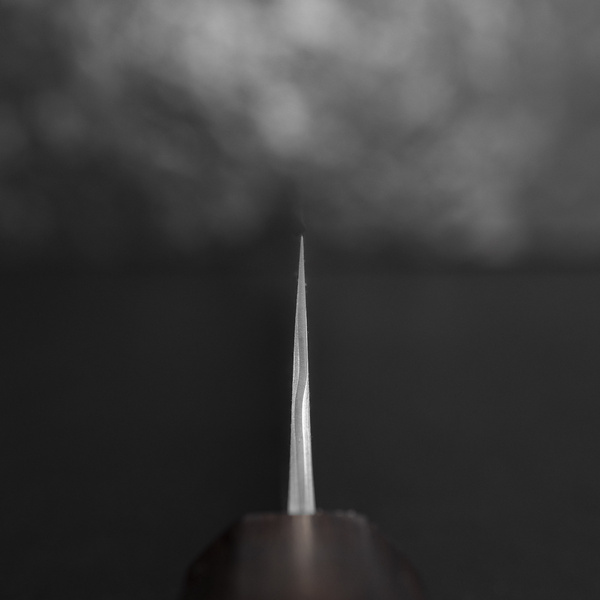 Nigara Hamono Anmon SG2 Damascus Nóż Sujihiki 24 cm