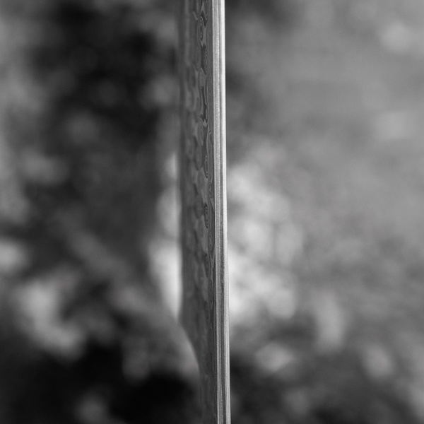 Nigara Hamono Anmon SG2 Damascus Nóż Kiritsuke Nakiri 17 cm