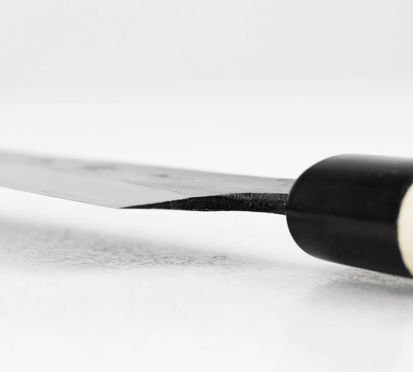 Takeo Murata Aogami#1 Nóż Sabaki 12 cm