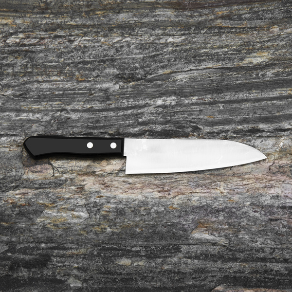 Katsuto Tanaka Aogami#2/SS Nóż Santoku 15,5 cm
