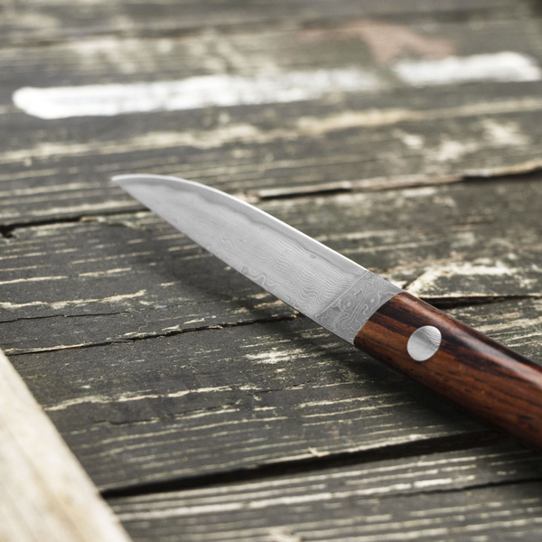 Hattori Medaka 2 Cowry-X Damascus Cocobolo Outdoor 5,7 cm