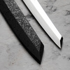 Sakai Takayuki Ginryu Honyaki SW Nóż Kengata Yanagiba 27 cm