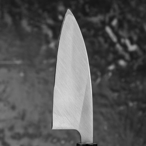 Sakai Takayuki AUS-8 Nóż Deba 12 cm