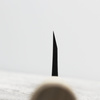 Ittetsu Forge Black Shirogami#2 Nóż Deba 16,5 cm Leworęczny