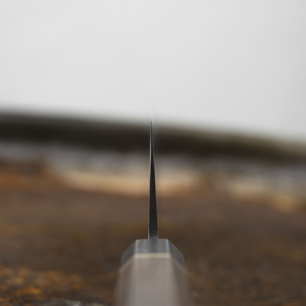 Tadafusa ISW Aogami#2/SS Nóż Nakiri 16,5 cm