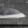 Hatsukokoro Kokugei Aogami#1/Iron Nóż uniwersalny 12 cm