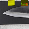 Tsukasa Tokaji Shirogami#1/Iron Kurouchi Mini Nóż Szefa kuchni 10,5 cm