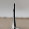 Yauji Damascus Aogami#2 Nóż Deba 16,5 cm
