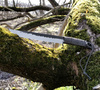 Ikeuchi Sword Nóż Outdoor 21 cm