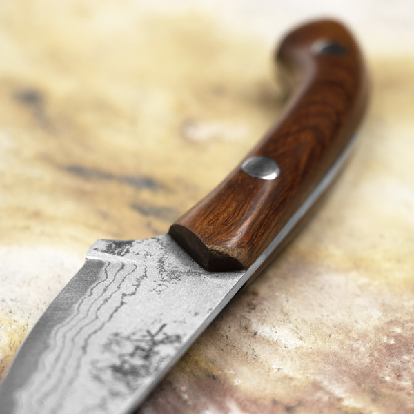 Ryo Nomura Shirogami#2 Damascus StaightBack IW