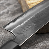 Anryu Hamono Aogami Super/SS Nóż Santoku 16,5 cm