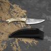 Ryo Nomura Shirogami#2 Damascus StaightBack WB