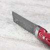 Ryo Nomura Shirogami#2 Damascus Wharncliffe Red/Black Large