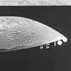 Nigara Hamono SG STRIX Damascus Nóż Szefa kuchni 23 cm