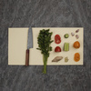 Tenryo Manaita Anti-Bacterial Deska do krojenia 600x300x5 mm