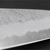 Hatsukokoro Ryusui Aogami#2/Iron Nóż Szefa kuchni 20 cm