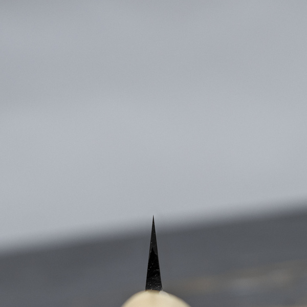 Satake Cutlery Mfg S/D SK-5 Rdzewny Nóż Yanagiba 24 cm