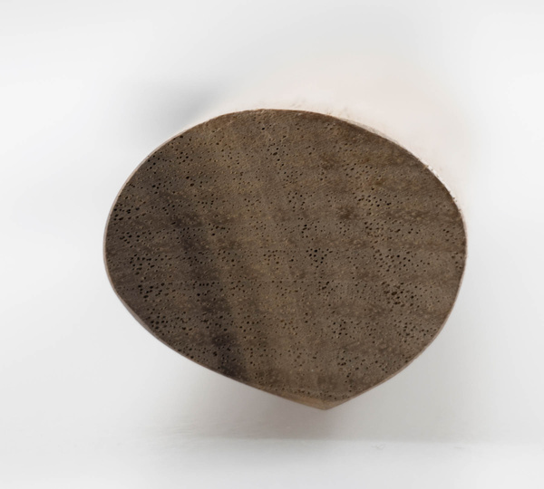 Zakuri Aogami#1 Nóż Sujihiki 27 cm