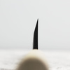 Ittetsu Forge Black Shirogami#2 Nóż Miroshi Deba 24 cm
