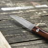 Hattori Medaka 2 Cowry-X Damascus Cocobolo Outdoor 5,7 cm