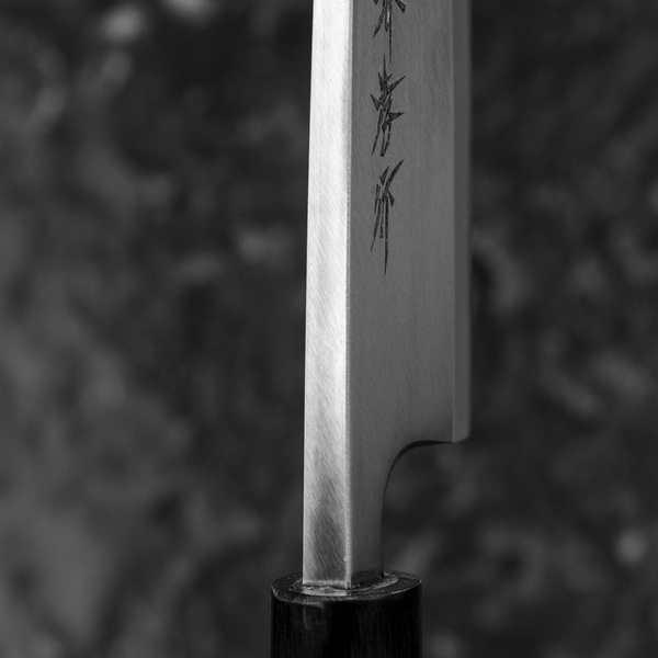 Sakai Takayuki AUS-8 Nóż Deba 16,5 cm