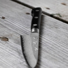 Tojiro Atelier Forged VG-10 Nóż do obierania 10 cm