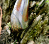 Takeshi Saji Keiryu Shirogami Nóż Outdoor 16 cm