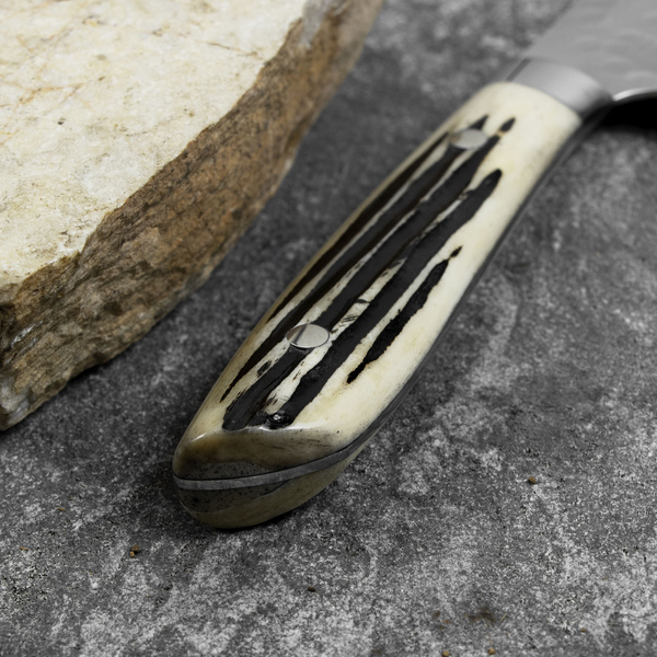 Takeshi Saji SRS-13 Nóż Kiritsuke Gyuto 24 cm