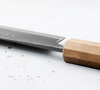 Ittetsu Shirogami#1 Nóż Nakiri 16,5 cm