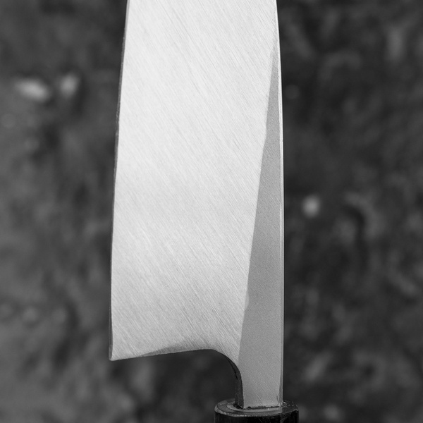 Sakai Takayuki AUS-8 Nóż Deba 16,5 cm