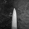 Hatsukokoro Hikari Kurozame SLD Damascus Nóż uniwersalny 13 cm