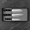 Tojiro DP3 Eco Zestaw Nóż Szefa kuchni + Santoku + uniwersalny