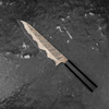 Hatsukokoro Irodori Aogami#2 Rainbow Damascus Kurozome Nóż Szefa kuchni 23 cm