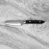 Ryo Nomura Shirogami#2 Damascus Wharncliffe Black Medium
