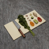 Tenryo Manaita Anti-Bacterial Deska do krojenia 500x250x10 mm