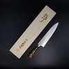 Takeshi Saji Sami IW Aogami#2 Color Nóż Szefa kuchni 21 cm